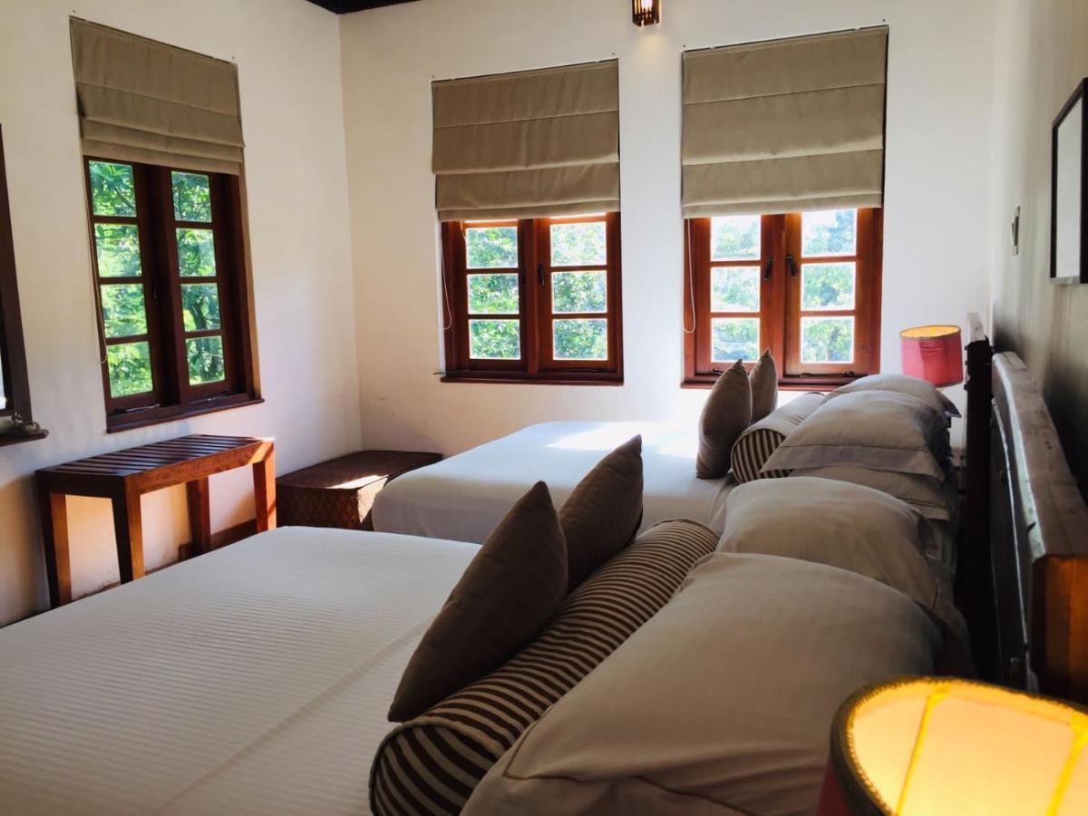 Tea Cottage Resort & Spa Nawalapitiya Exteriér fotografie
