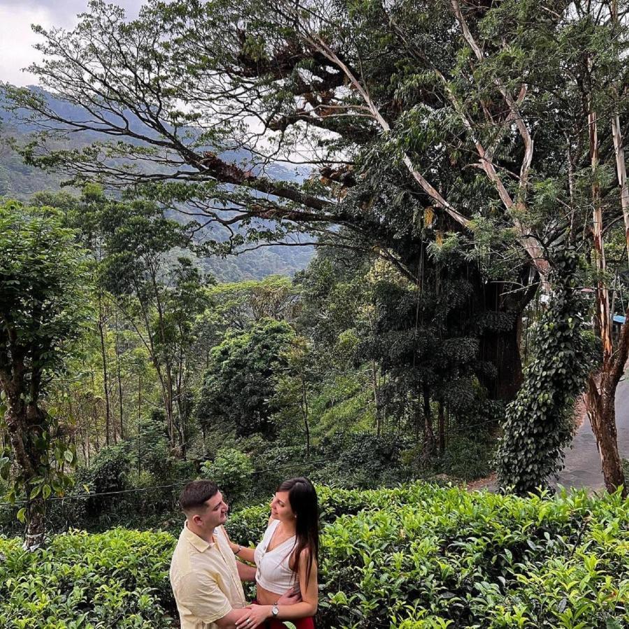 Tea Cottage Resort & Spa Nawalapitiya Exteriér fotografie