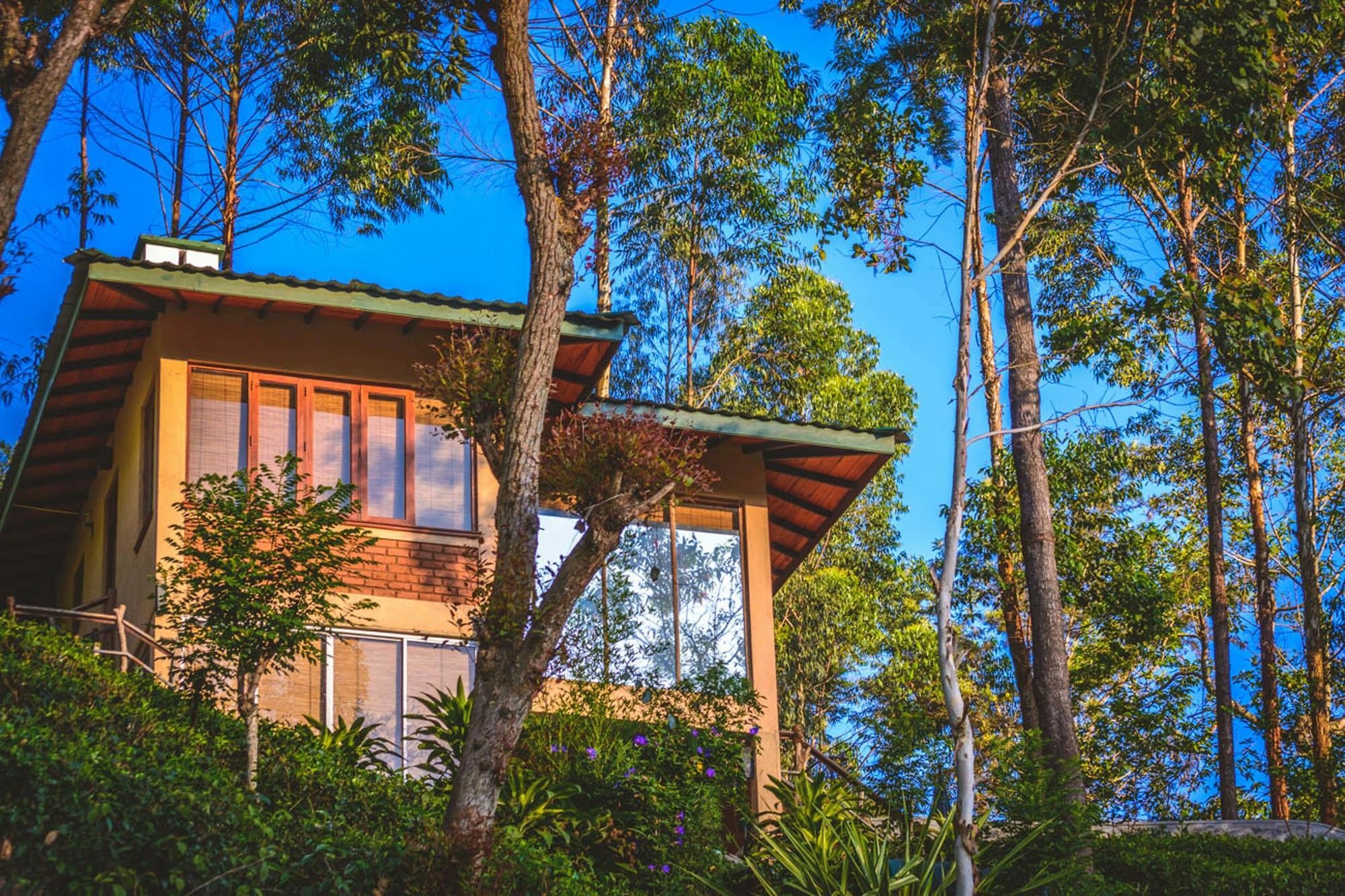 Tea Cottage Resort & Spa Nawalapitiya Exteriér fotografie